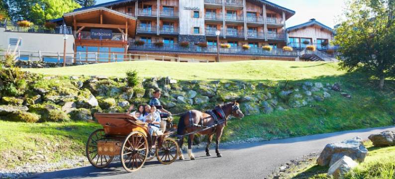 阿尔伯西酒店(Hôtel l'Arboisie)图片