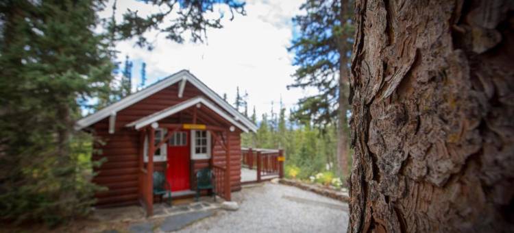 伊甸园洋房旅舍(Paradise Lodge and Bungalows)图片