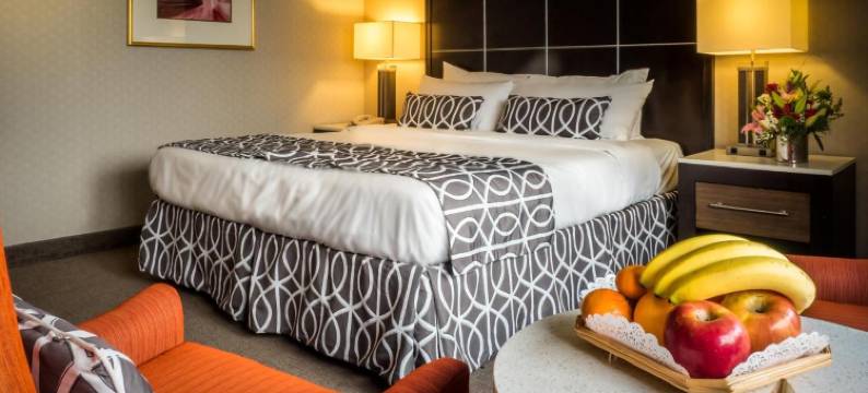 奥利弗酒店(Olyver Hotel)图片