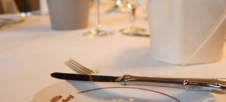 Hotel Villa Altenburg图片