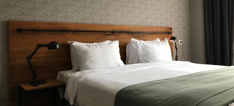 卡兹别吉斯坦西亚酒店(Hotel Stancia Kazbegi - City Center)图片