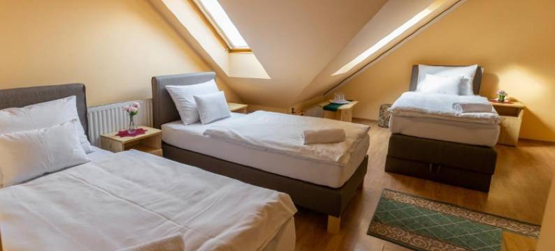 贝缇里帕兹奥旅馆(Betli Panzió)图片