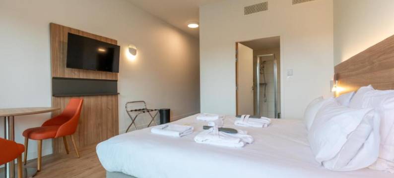 瑟尔梅别墅南锡(Villa Thermae Nancy)图片