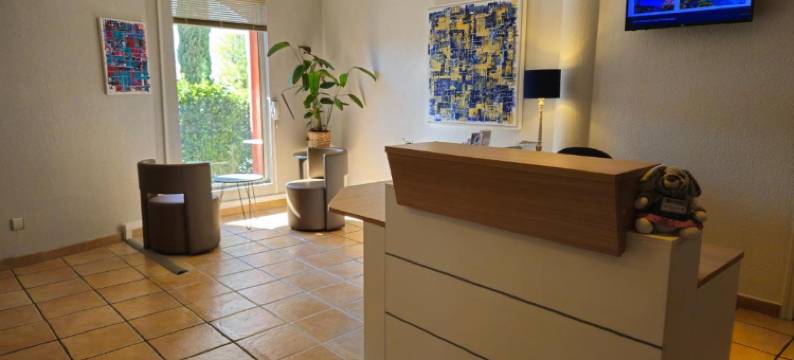 乐赛德贝斯特韦斯特酒店(Best Western Hôtel Le Sud)图片