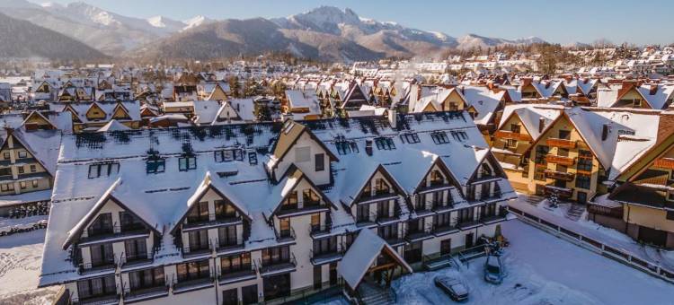 帕里斯艺术与商务酒店(Hotel Paryski Art & Business Zakopane - Basen Jacuzzi Sauna Małpi Gaj)图片