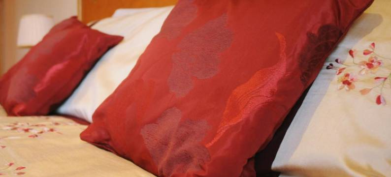 丹湖楼住宿加早餐旅馆(Lough Dan House)图片