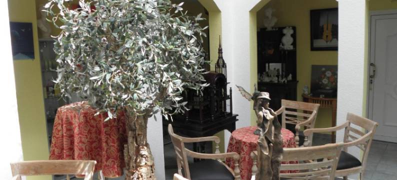 菲力西格拉里酒店(Felixanum Hotel & Galerie)图片