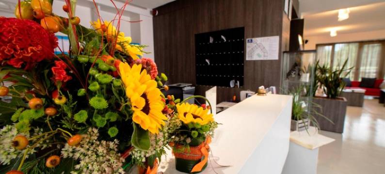 摩洛哥基安蒂村乡村酒店(Chianti Village Morrocco)图片