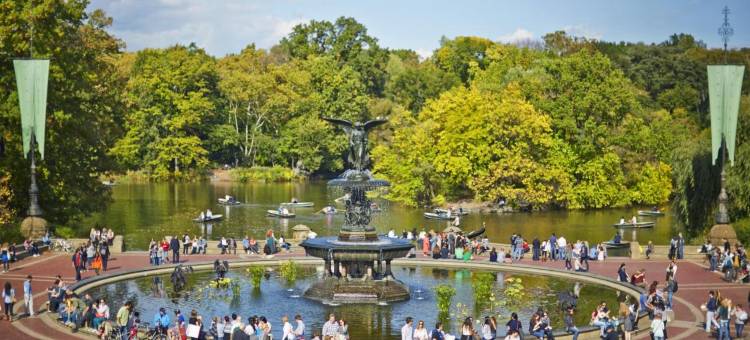 索内斯塔延长住宿套房酒店(The Gardens Sonesta ES Suites New York)图片