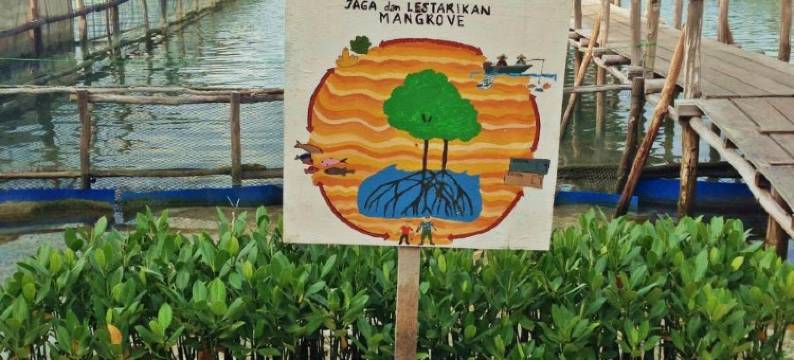 Harapan Solata Homestay Syariah图片