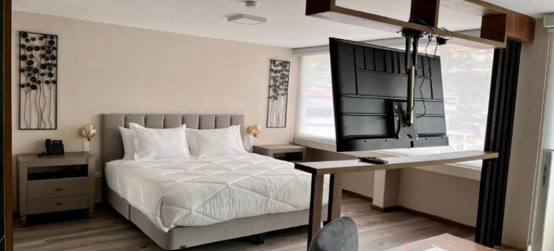 安巴托酒店(Hotel Ambato)图片