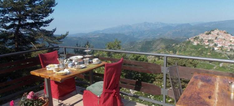 B&B le Camelie del Bosco图片