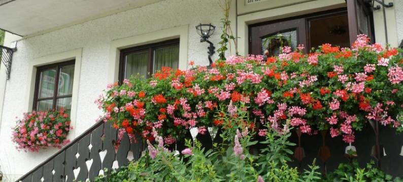 克劳斯旅馆(Gasthof-Pension Zur Klause)图片