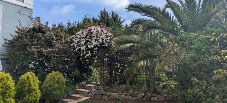 滨海别墅酒店(Villa Marina)图片