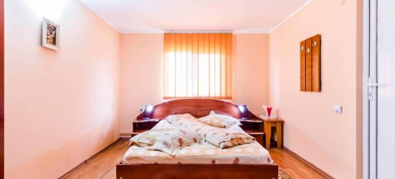 Pensiunea Gaby图片