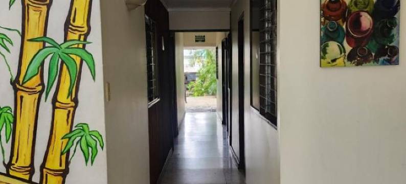 哥斯达黎加背包客旅馆(Costa Rica Backpackers)图片