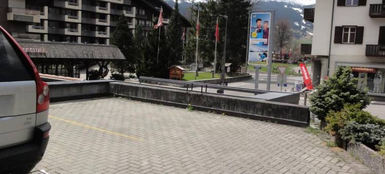 宝狮酒店(Hotel Steinbock Grindelwald)图片