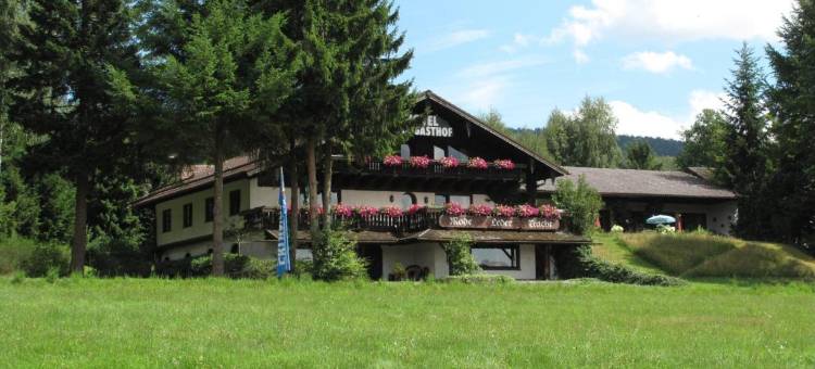 邦琪伯格酒店(Hotel Buchberg)图片