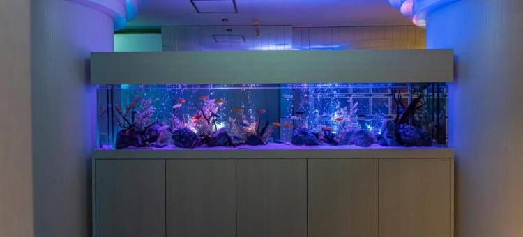 守山水之吻酒店(仅限成人)(Hotel Aqua Kiss Moriyama (Adult Only))图片