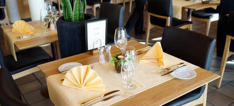 巴德组尔萨克公园酒店(Dorint Parkhotel Bad Zurzach)图片