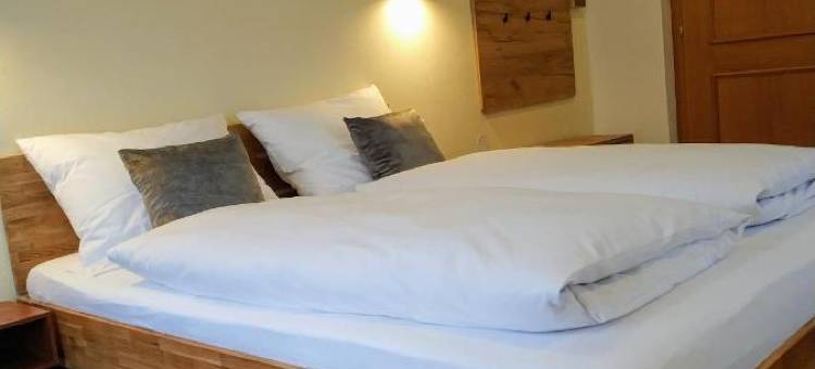 莫泽住宿加早餐旅馆(Gästehaus Moser)图片