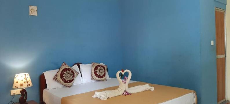 阿贡达假日之家(Agonda Holiday Home)图片