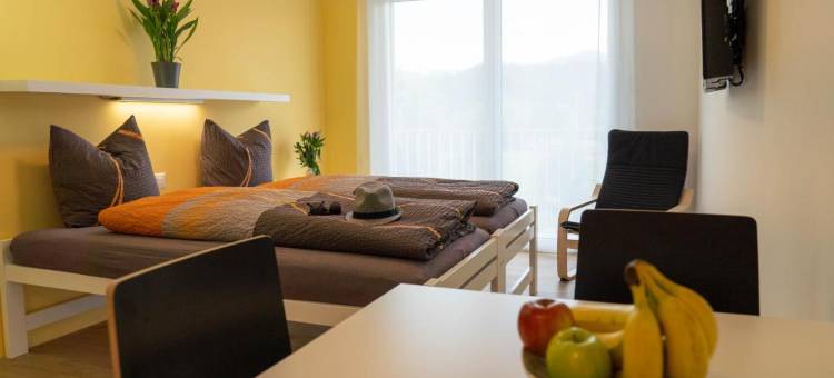 霍尔安斯塔酒店(Anstatthotel Horw - App Self-Check-IN)图片