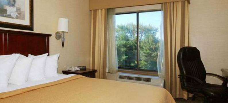 凯艺套房酒店(Quality Inn & Suites)图片