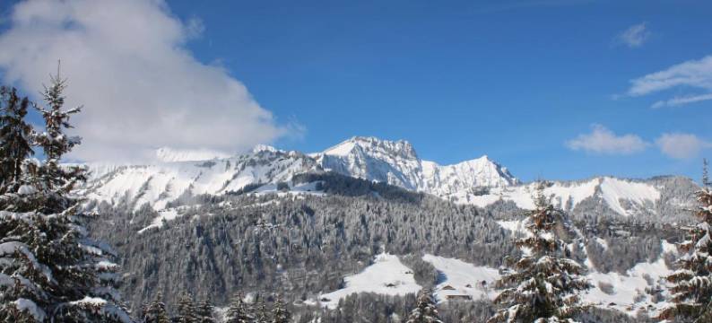 比沙内山酒店(Chalet Hotel le Mont Bisanne)图片