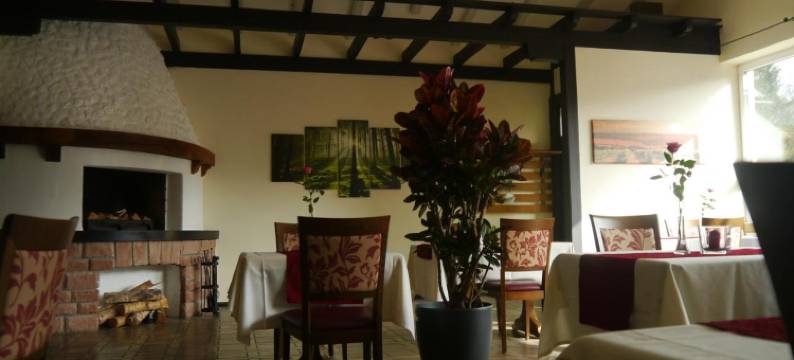 林德普法尔茨酒店(Hotel Linde Pfalz)图片