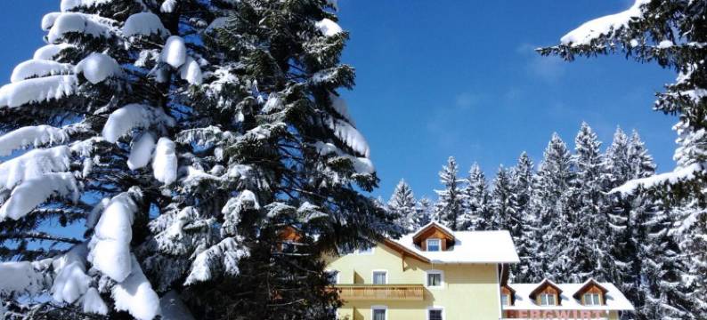 利比内斯特贝格沃特精品酒店(LiebesNesterl Bergwirt - Boutique Hotel)图片