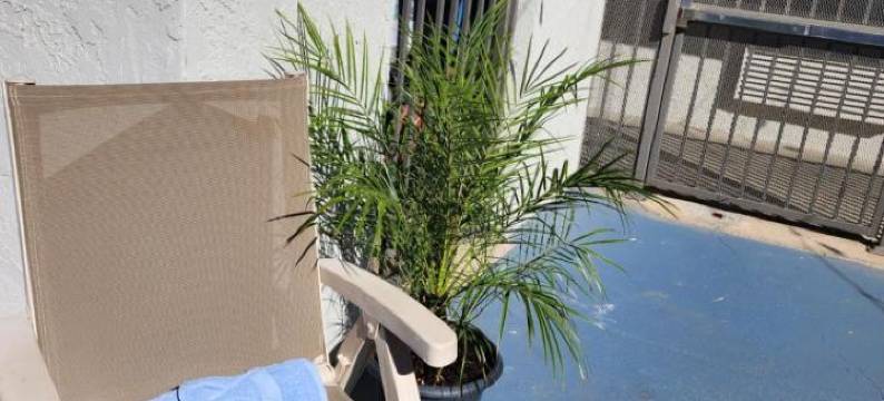 Motel 6萨克拉门托，加利福尼亚州 - Natomas和SMF机场(Motel 6 Sacramento, CA – Natomas & Smf Airport)图片