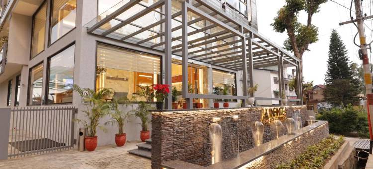 达然萨拉因菲尼提中心酒店(Infinitea Centric Dharamshala)图片