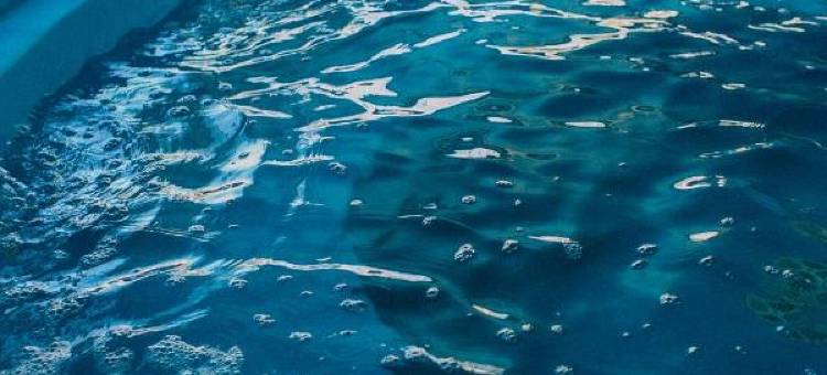 耶尔瓦布埃纳豪生酒店(Howard Johnson by Wyndham Yerba Buena)图片