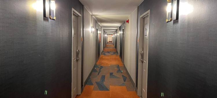 列克星敦拉昆塔温德姆酒店(La Quinta Inn Lexington/Horse Park)图片