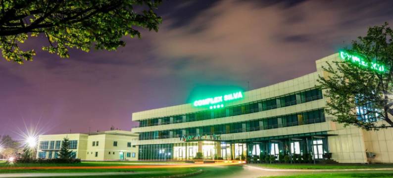 席尔瓦复合式酒店(Complex Silva)图片