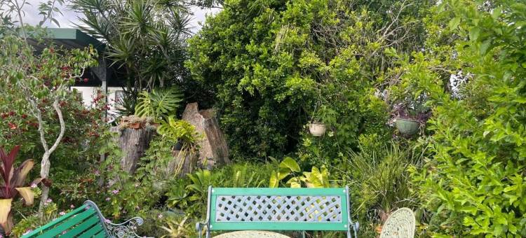 酪梨汽车旅馆(Avocado Motor Inn)图片