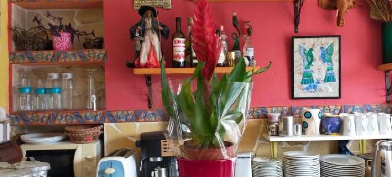 伊达尔戈酒店(Pensión El Hidalgo)图片