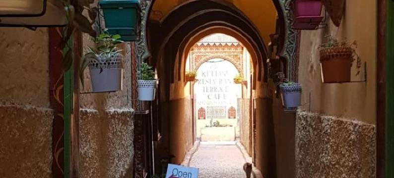 瑞德费斯肯特尼酒店(Riad Fes Kettani)图片