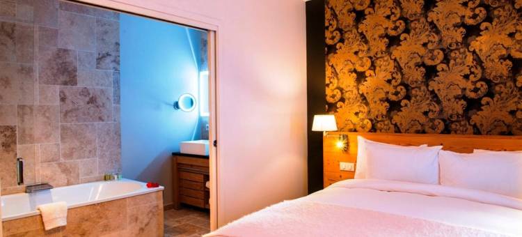 马斯兰城堡酒店(Château de Massillan)图片