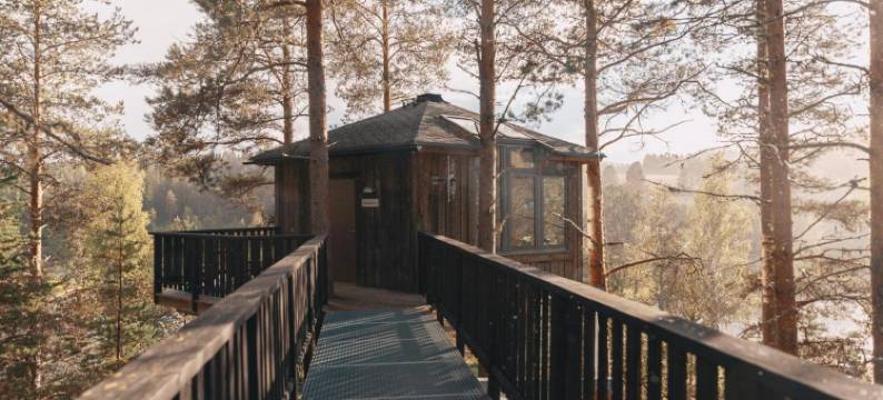 Granö Beckasin图片