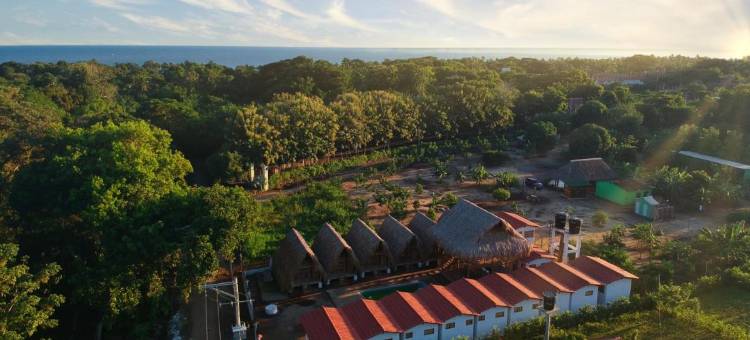 帕洛米诺日出(Palomino Sunrise)图片