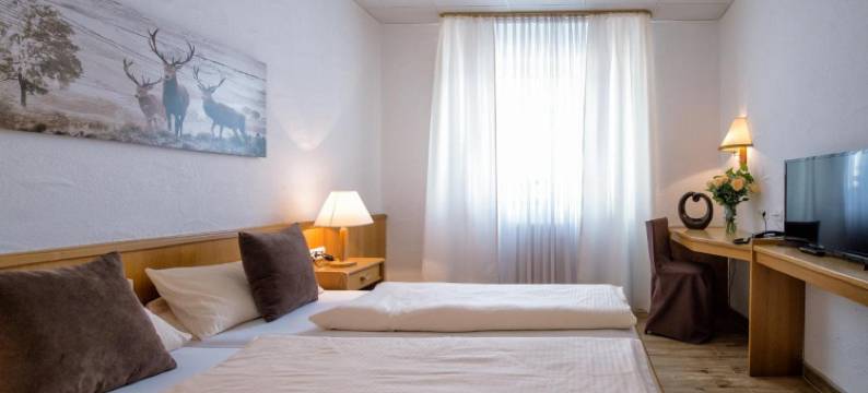 度尼奇施韦泽胡斯利酒店(Hotel-Restaurant Schwyzerhüsli)图片