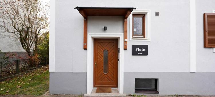 Numa 萨尔茨堡 长笛(Numa Salzburg Flute)图片