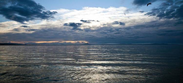 海豚SA1酒店(Dolphin SA1)图片