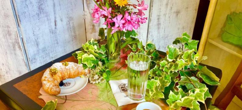 WineBikeHostel图片