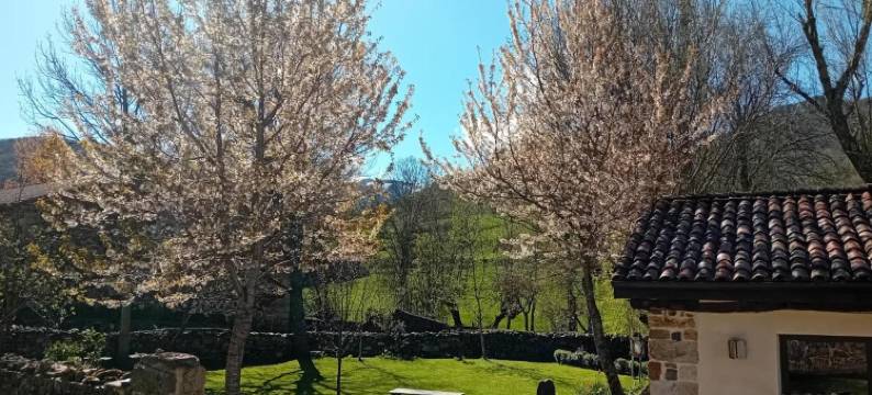 恩齐纳斯乡村酒店(Hotel Rural Las Encinas)图片