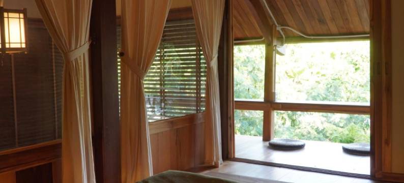 Harmony Botanical Garden Stay - 300 Plant Species, Natural Stream and Small Pool图片