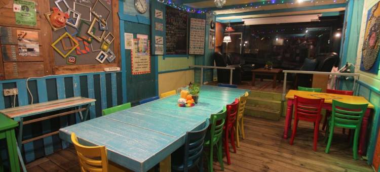 The Flying Pig Beach Hostel图片