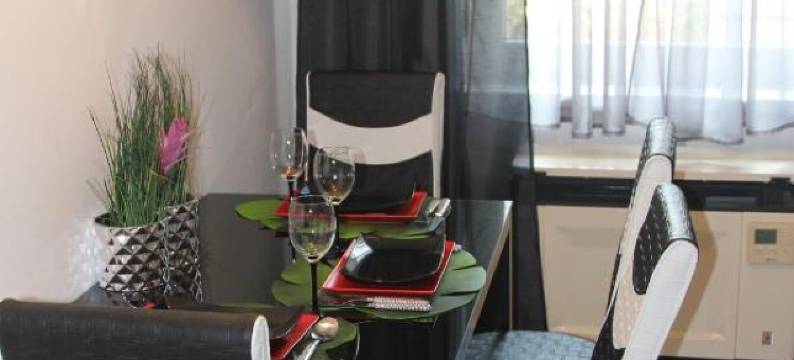 小猫市中心公寓酒店(Kitty Downtown Apartman)图片